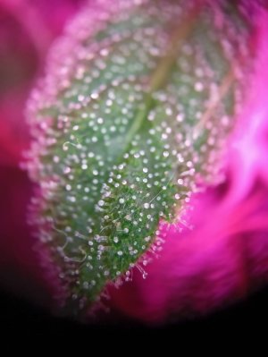 d0316b31-b614-4e9b-b761-8555e6a29db9.jpg