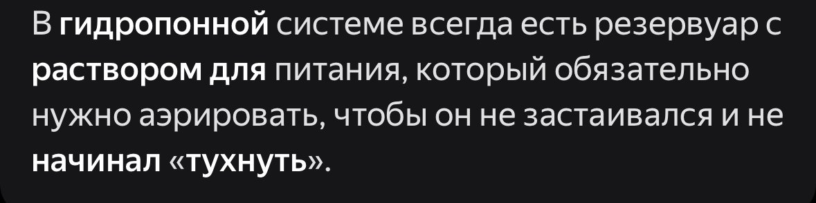 IMG_7433.jpeg