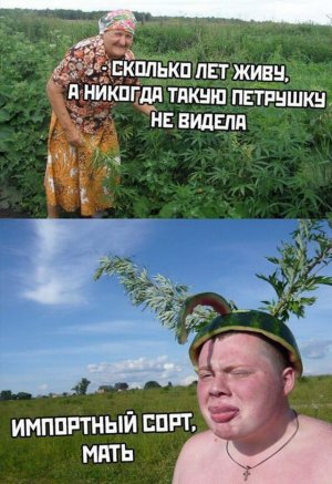 13812406.jpg