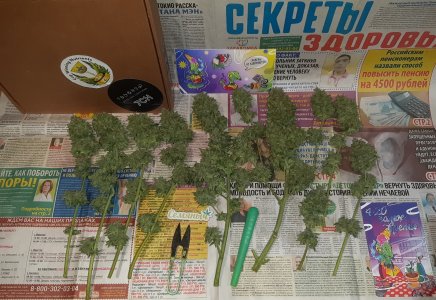 20250522_145314.jpg
