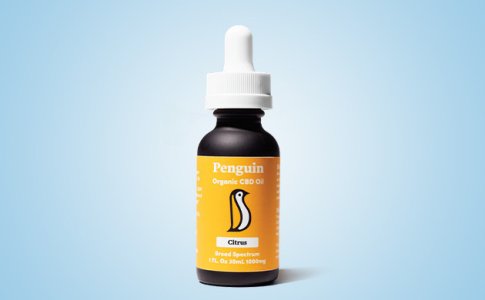 Penguin-CBD-Oil__pQYoHY78tNCGINJZ.jpg