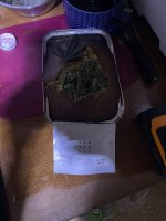 IMG_0214.jpeg