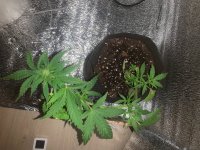 IMG_6670.jpeg
