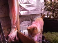 IMG_20250905_063913.jpg