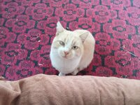 IMG_20250925_080234.jpg