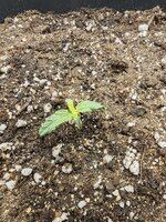 IMG_20251016_091620.jpg