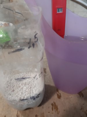 20220520_211426.jpg