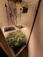 IMG_1216.jpeg