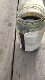 IMG_20251125_123558.jpg