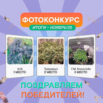 november-photo.jpg