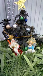 IMG_20251215_131407.jpg