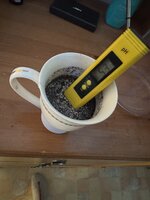 IMG_5143.jpeg