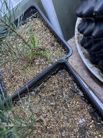 IMG_2427.jpeg