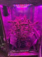 IMG_2830.jpeg