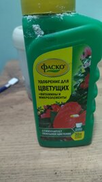 IMG_20260202_193919.jpg