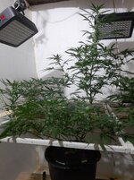 20260208_061802.jpg
