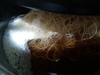 20260208_071017.jpg