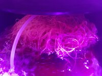 20260208_100232.jpg