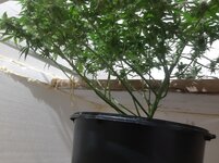20260209_061117.jpg