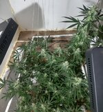 20260209_070603.jpg