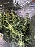 8 — копия.jpg