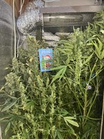 2 — копия.jpg