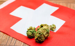 swiss.jpg