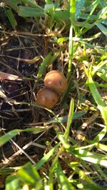 IMG_20260414_080250.jpg