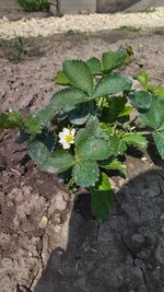 IMG_20260414_133002.jpg