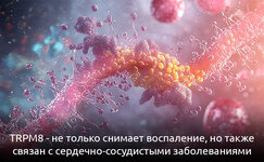 trpm8-borba-s-vospaleniem__j6FWzY5B6vgnf13F.jpg