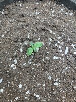 IMG_20260422_012401.jpg