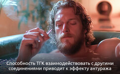 Terapevticheskie-svoistva-TGK__nvH3eu6S3mBgIbBy.jpg
