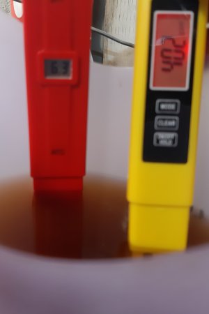 20220614_212848.jpg