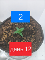 1780177530332.png