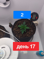1780516958984.png