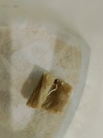 IMG_20260725_074608.jpg