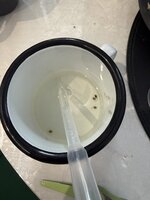 IMG_0701.jpeg