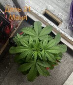 IMG_3248.jpeg