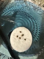 IMG_1789.jpeg