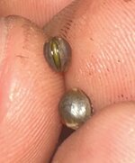 IMG_1833.jpeg