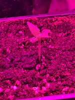 IMG_1881.jpeg