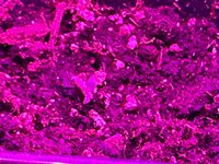 IMG_1862.jpeg