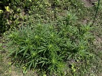 IMG_9843.jpeg
