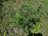 IMG_9835.jpeg