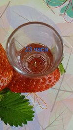1000133048.jpg