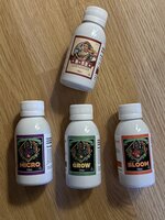 IMG_2981.jpeg