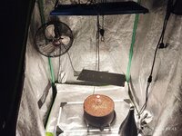 IMG_20260905_094307.jpg