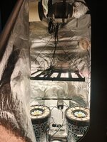 IMG_20260912_185143_864.jpg