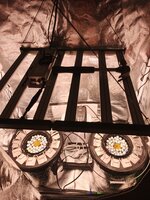 IMG_20260912_185109_456.jpg
