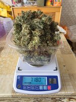 20260924_103334.jpg